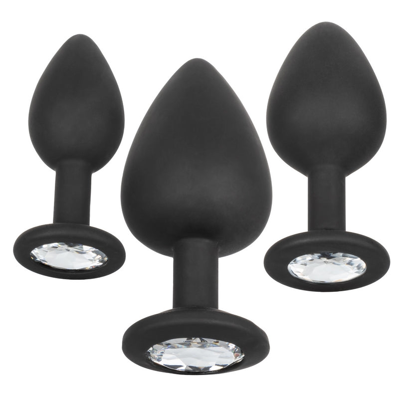 Calexotics Silicone Gem Anal Kit