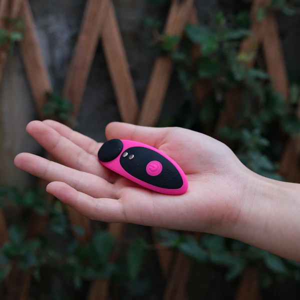 Lovense Ferri Bluetooth Remote-Controlled Panty Vibrator