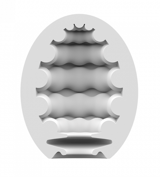 Satisfyer Masturbator Egg Riffle