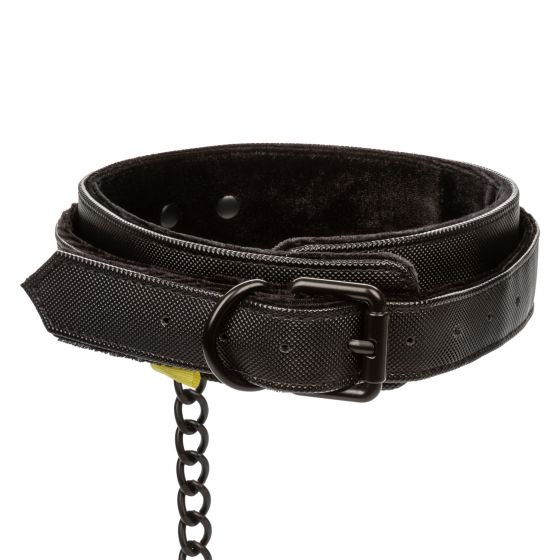 Calexotics Boundless Collar & Leash