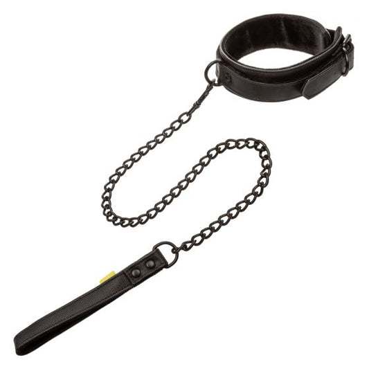 Calexotics Boundless Collar & Leash