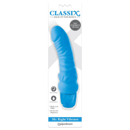 Pipedream Products Mr. Right Vibrator - XOXTOYS