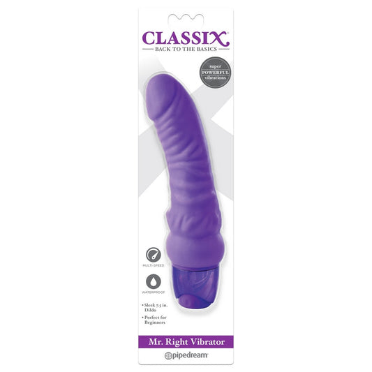Pipedream Products Mr. Right Vibrator - XOXTOYS