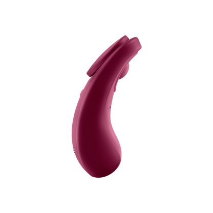 Satisfyer Sexy Secret Panty Vibrator