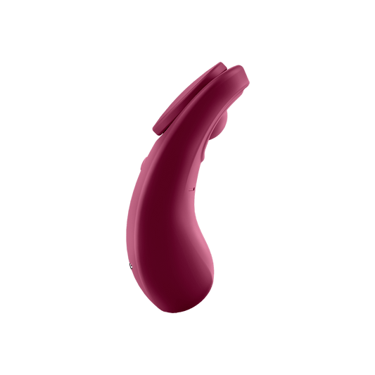 Satisfyer Sexy Secret Panty Vibrator